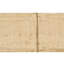 Area Rug in Beige
