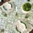 Green Chintz Napkins - Set Of 4