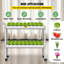 Unité de production de fruits et légumes 10 watts VEVOR