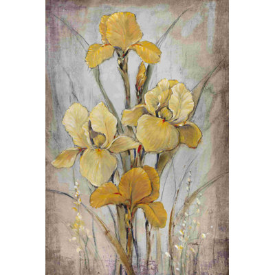 Iris dorés I