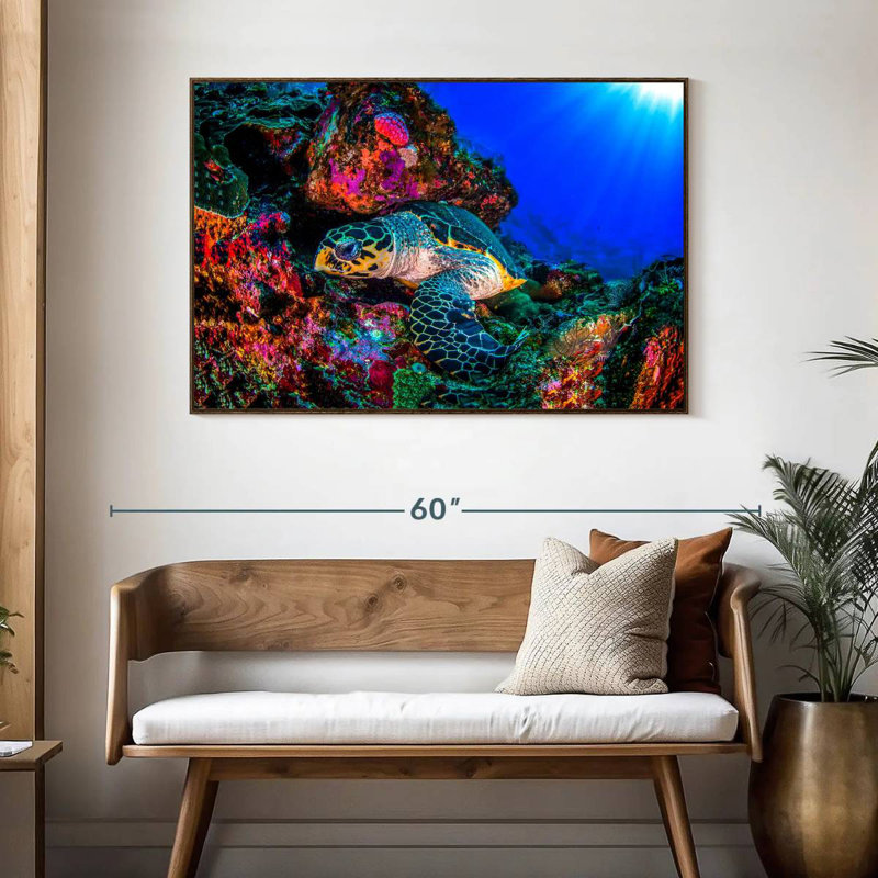 Tortue océan monde, 46 po x 31 po, Cadre flottant noyer