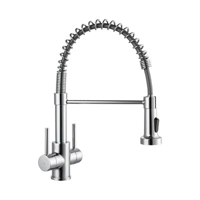 Williston Forge Kitchen Faucet