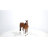 Standing Horse