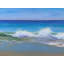 Solitude Among The Reeds Print by Dina Gardner-1305706664