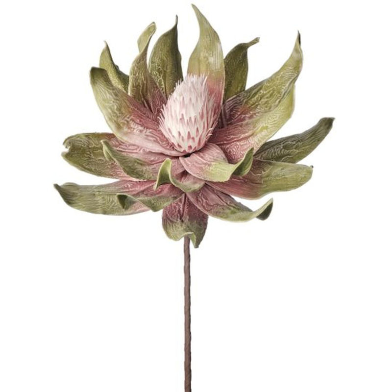 Vert et rose Protea Tiges artificielles et arbres