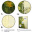 Plantes vertes écologiques Symphony I - Botanicals, art mural-194840313-161462364