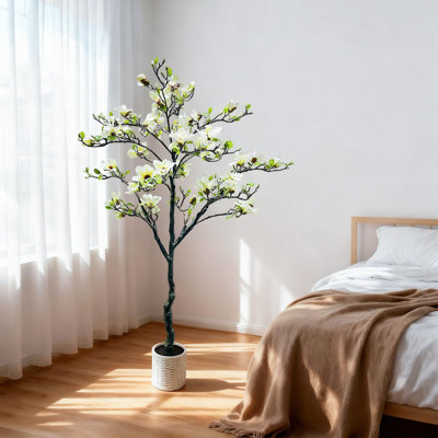 24.5cm Plant