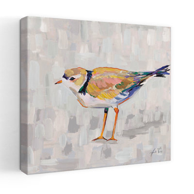 Coastal Plover IV V2 Gray Contemporary Bird Beach Summer Art