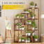 Support pour plante d'intérieur en bois à 4 niveaux avec lumière de croissance pour balcon, salon ou coin