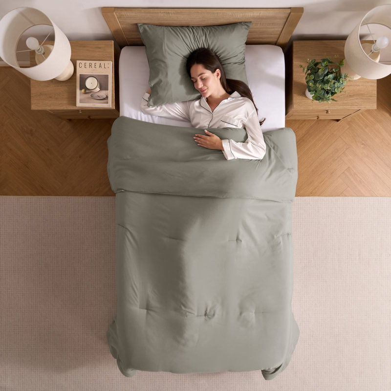  soft microfiber 2 piece comforter set with pillow sham, Twin XL Comforter + 1 Standard Sham, Wild Sage