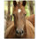 Murale en céramique satinée cheval photo 12 po x 12 po