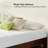 8" Plush Memory Foam Mattress - Sleep by Wayfair™-792351793-707803269
