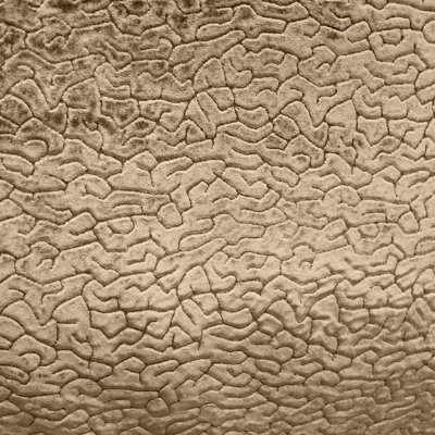 Textured Chenille | Galil Fabric_GALIL