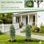Plant-1203585820