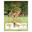 Ensemble de table de pique-nique et de banc d'extérieur 2 en 1 transformable - Mobilier de patio pliable en bois de sapin avec trou pour parasol