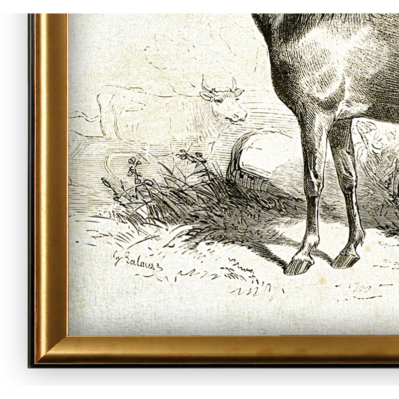 « équin sketch viii », impression, Cadre doré, H 31 po x l 43 po x P 1,5 po, Blanc mat