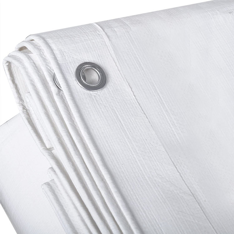 Napanoch Automobile Cover, White, 0.2cm H x 300cm W x 600cm D