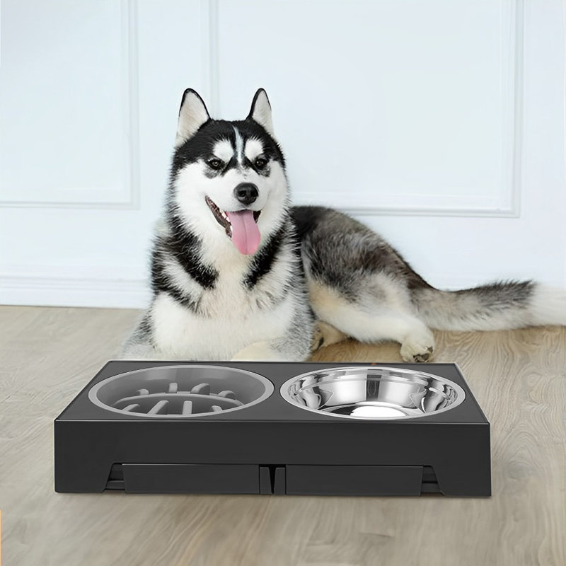 Pet Bowl