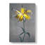 Yellow Lily by Kazumasa Ogawa - Wrapped Canvas Painting-55319842