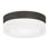 Cirque LED Outdoor Flush Mount