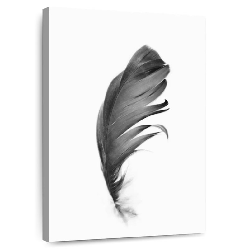 Kerner Black Feather, 12" H x 8" W