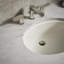 Caxton® Vitreous China Oval Undermount Bathroom Sink with Overflow-43100388