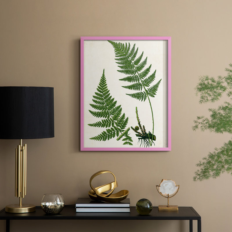 Impression encadrée Fern II - bois massif, H 11 po x l 9 po, Rose