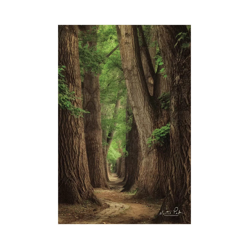 Roads Were Made For Journeys by Martin Podt - Wrapped Canvas Print, 66.04 cm H x 45.72 cm W x 3.175 cm D