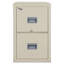 2 - Drawer File Cabinet-11917962-12136716
