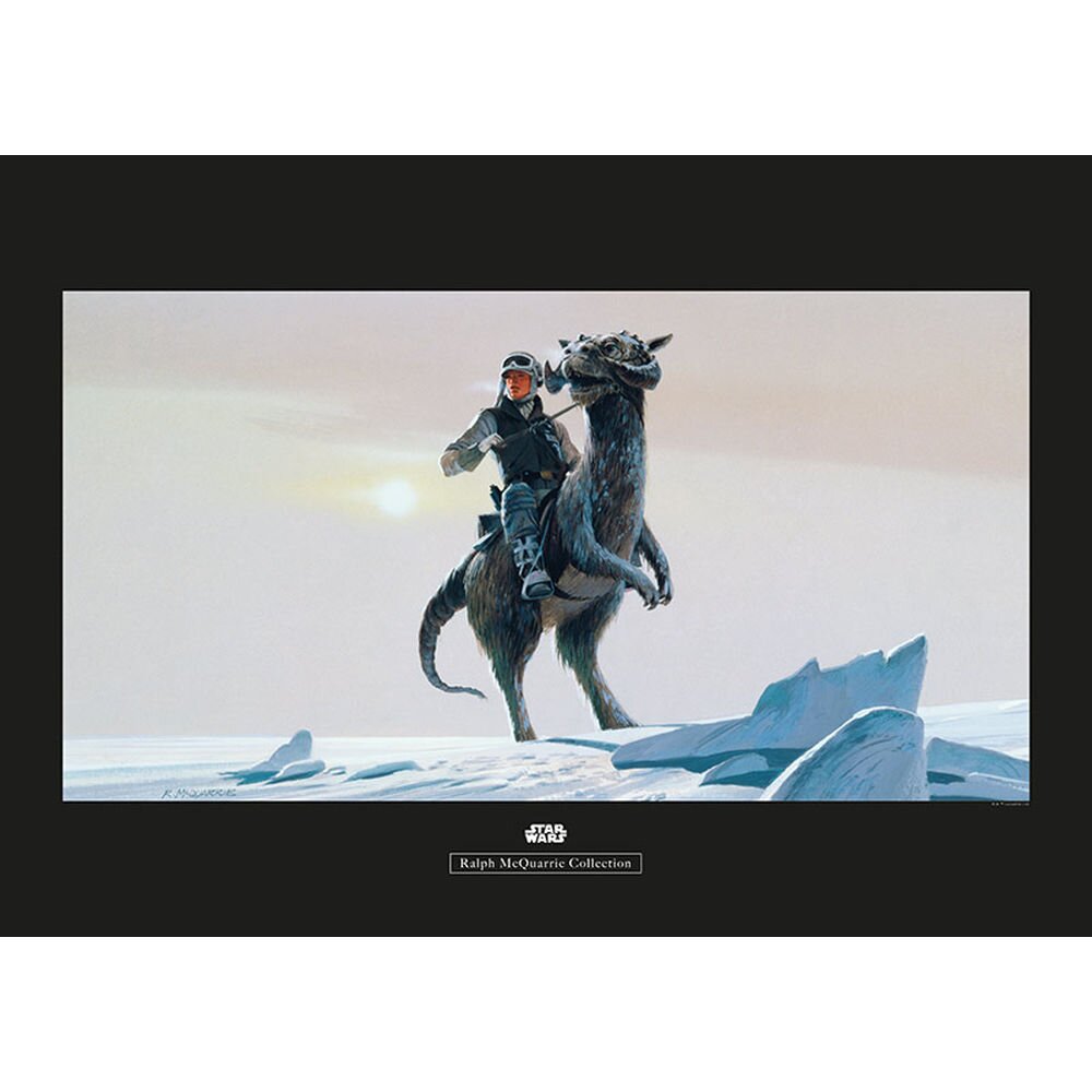 Poster Star Wars Rmq Hoth Tauntaun