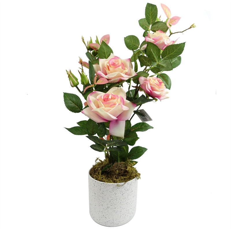Plastic, Silk Rose Arrangement in Pot, Pink