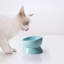 Bol surélevé pour chat-50642235-50625642