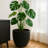 Owasso Tapered Round Pot Planter in Handmade MGO Clay Fiberstone - Indoor and Outdoor Use with Drain for Patio, Garden, Backyard, and Modern Home-1350687578-1350687582