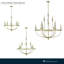 Lustre classique / traditionnel à 12 lumières de 40,2 po de style bougie Emery-1761323188