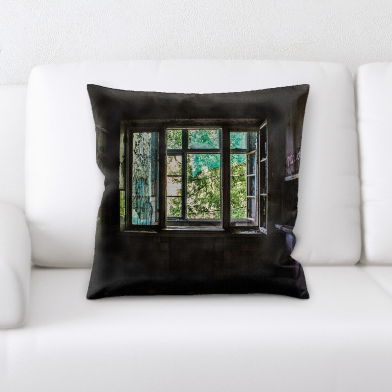 Coussin ancien et abandonné Louisiana