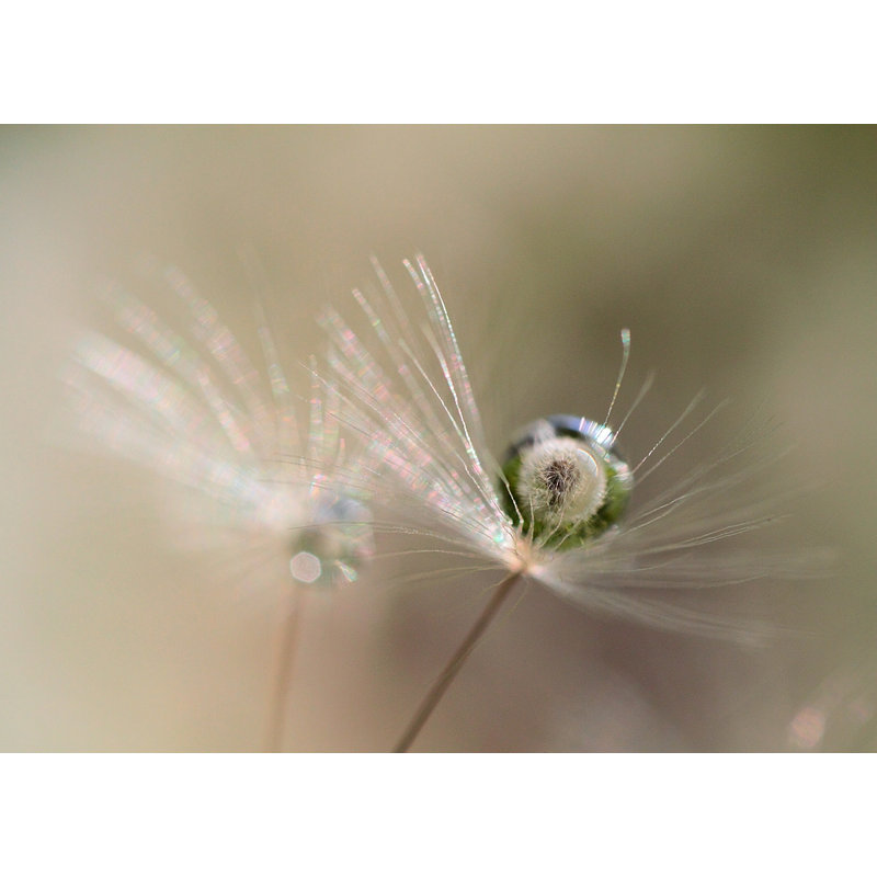 Wrapped Canvas Print, 91.44 cm H x 60.96 cm W