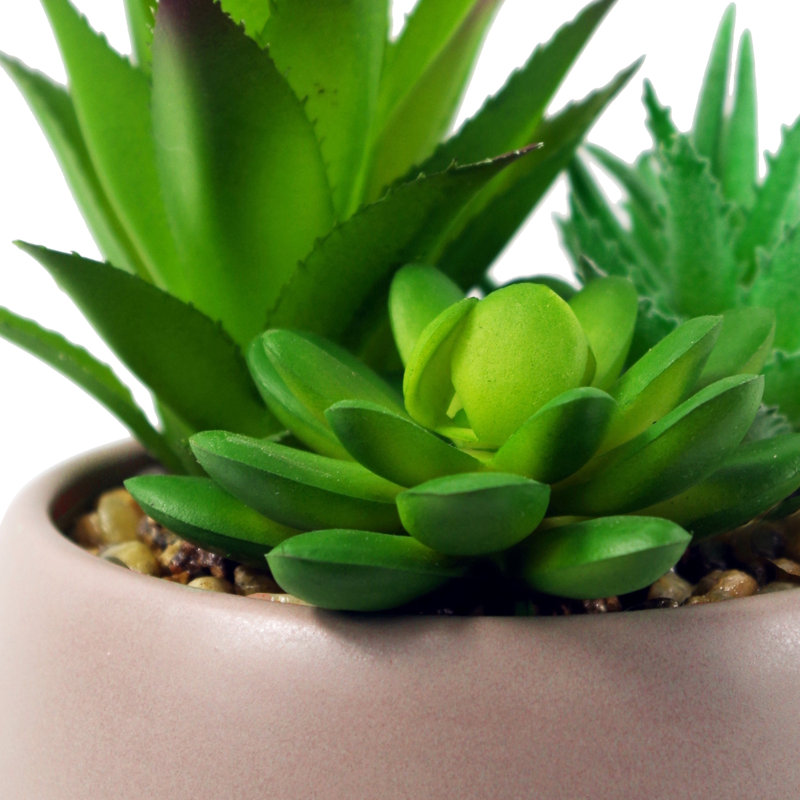 Annistin 12 cm H Faux Plant, Pink