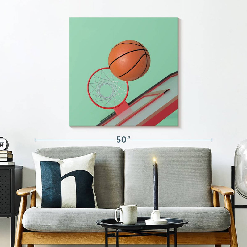 Sirci dans le panier de basketball, H 30 po x l 30 po