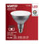 15.5 Watt Gray LED Bulb-38215659