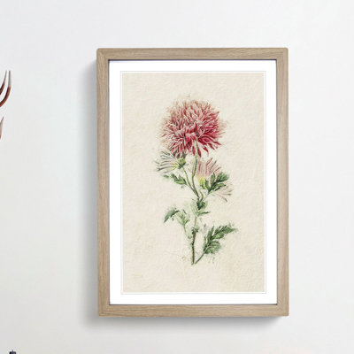 Illustration of Pink Chrysanthemums - Picture Frame Painting Print