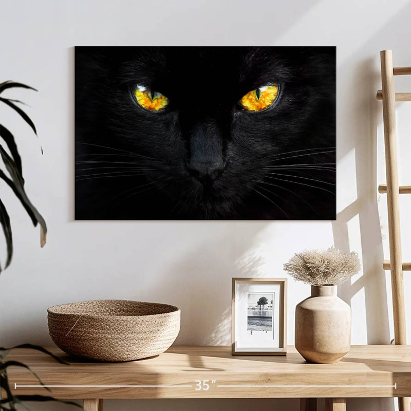 L'hypnotiseur de la nuit, H 16 po x l 24 po
