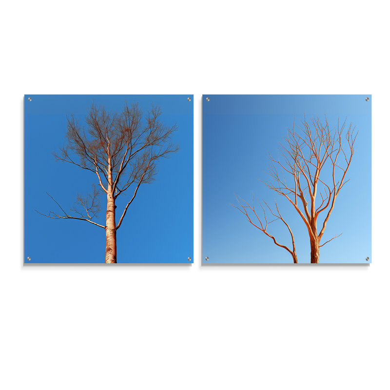 «Blue Timbers Trace Photo», ensemble de 2 verres muraux en acrylique, H 16 po x l 33 po