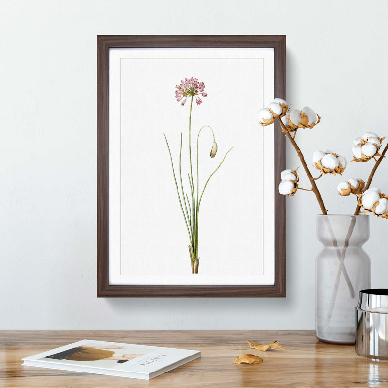 Autumn Onion Flowers by Pierre-Joseph Redoute - Framed Print, 33cm H x 24cm W x 2cm D, Walnut Framed