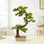 Bonsaï artificiel 29 "avec feuilles luxuriantes et fausses plantes vertes en pot décoratif