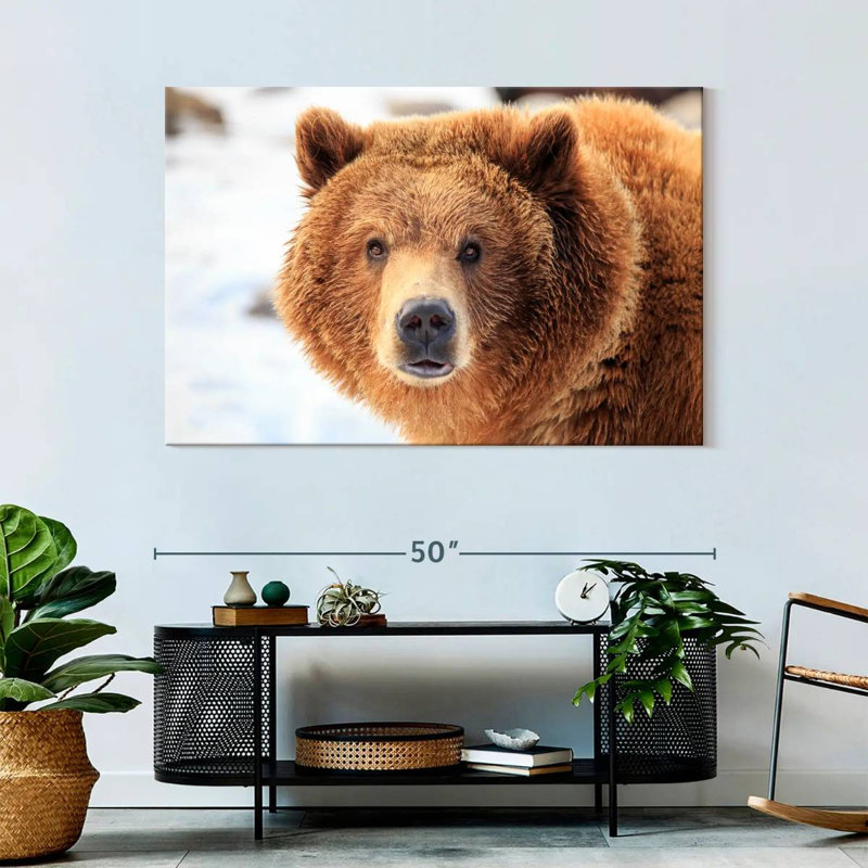 Grizzly Bear Stare, 32" H x 48" W