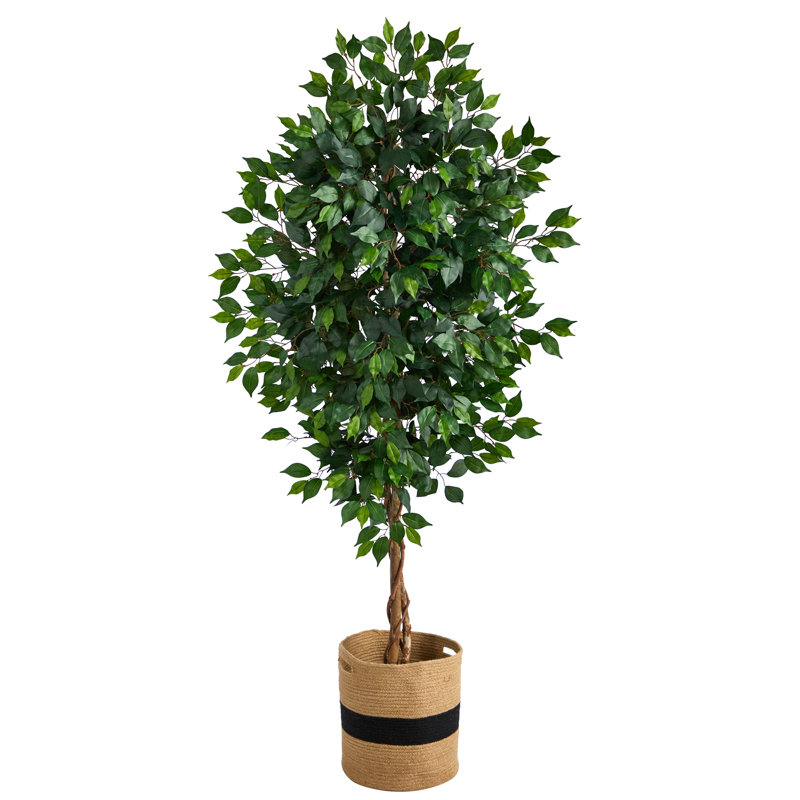 Ficus artificiel 72 po en pot