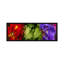 Tulipes panoramiques et fleurs iris-galerie-impression sur toile tendue giclée-1554225857-1483329728