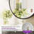 Gervon Round Wall Mounted Medicine Cabinet with Shelves-97885410-97885416