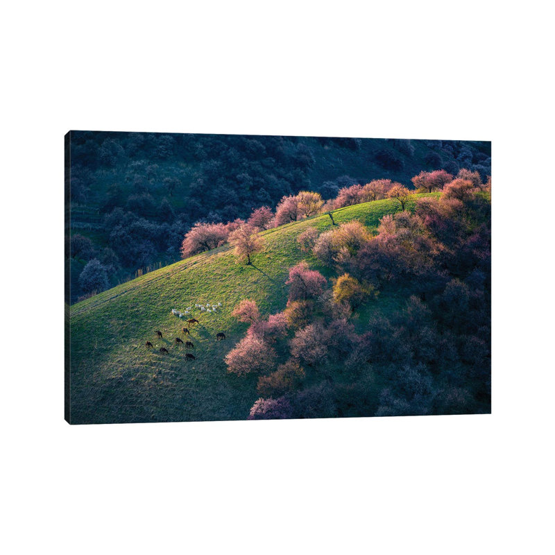 Sunset In The Primitive Wild Apricot Forest by Hua Zhu - Wrapped Canvas Print, 20.32 cm H x 30.48 cm W