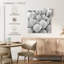 Coquilles blanches Aletra-109135409